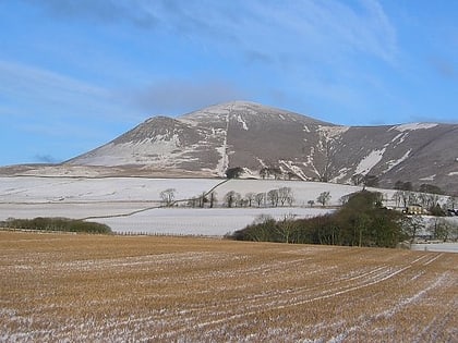 tinto hill