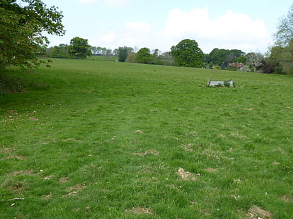 Cooksbridge Meadow