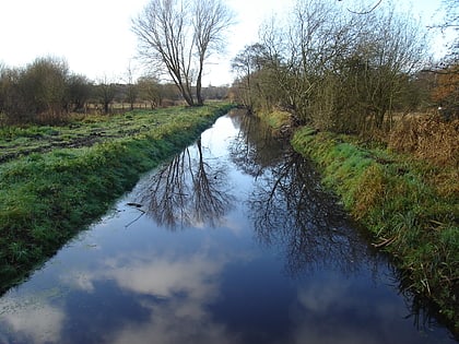 Sweetbriar Road Meadows