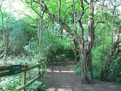 bagnall road wood stoke on trent