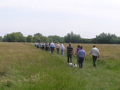 Ditchford Lakes and Meadows