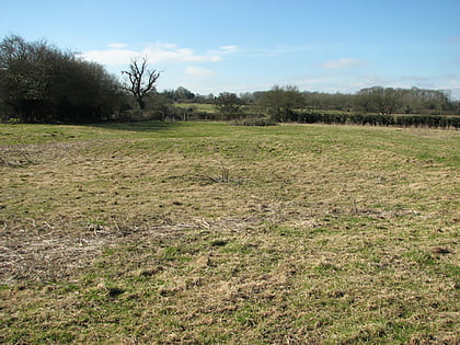 bixley medieval settlement norwich