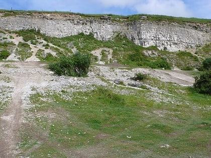 Chalbury Hill And Quarry