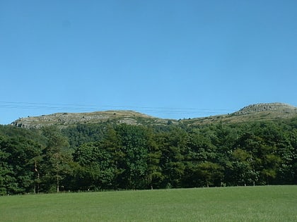 Bryn Alyn