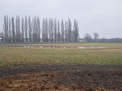 Berry Fen