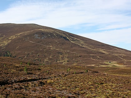 meall a bhuachaille park narodowy cairngorms