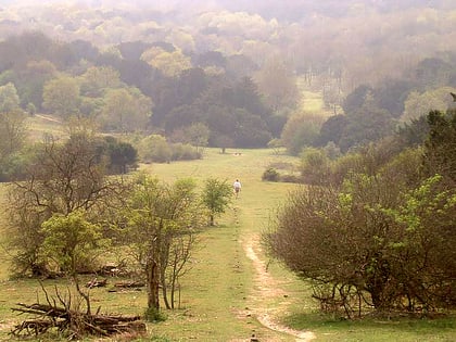 Narodowy Rezerwat Przyrody Kingley Vale