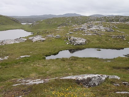 great bernera