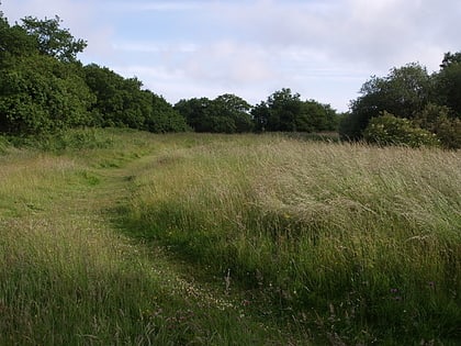 coneys castle