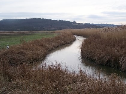 high halstow nnr