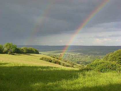 lardon chase streatley