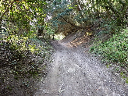 burham down gillingham