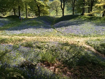 blackbury camp colyton