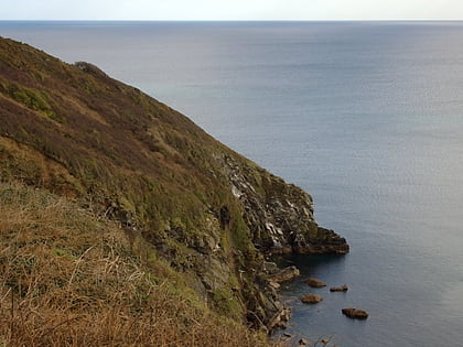 cuckoo rock to turbot point cornwall area of outstanding natural beauty