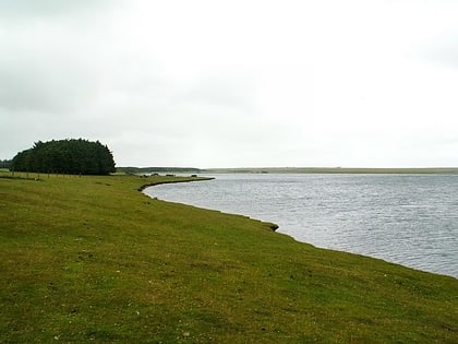 crowdy reservoir camelford