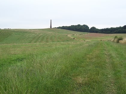 Wychbury Hill