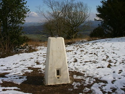 arnside knott