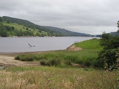 gouthwaite reservoir