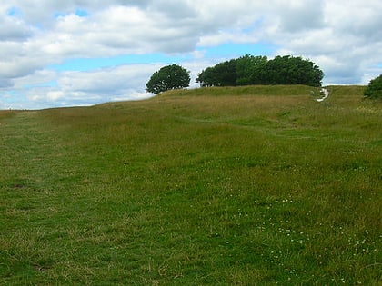 highdown hill park narodowy south downs