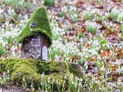 Fullarton Fairy Trail