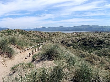 ynyslas sand dunes dyfi national nature reserve