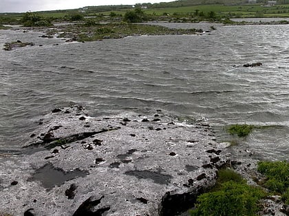 carmel national nature reserve