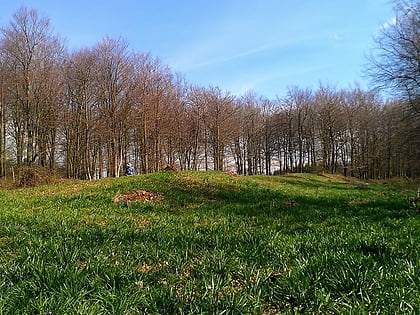 Jacket's Field Long Barrow