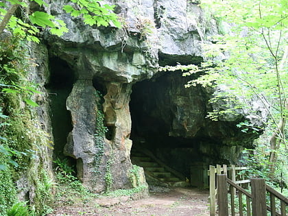joint mitnor cave buckfastleigh