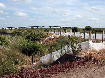 canvey wick canvey island