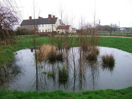 petherton park tealham and tadham moors