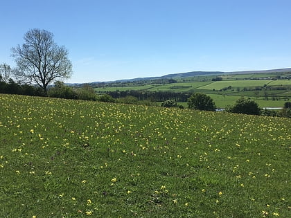 leyburn old glebe