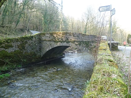 pont cych