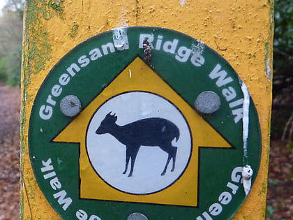 greensand ridge walk leighton buzzard