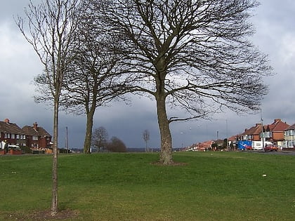 King's Standing Bowl Barrow