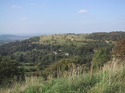 Crickley Hill and Barrow Wake