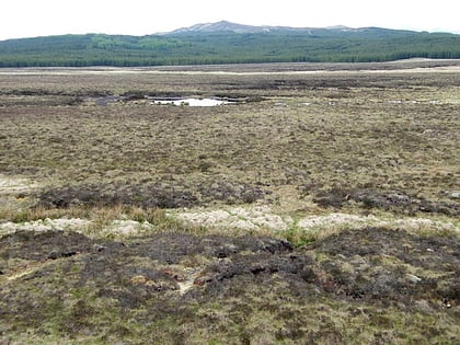 The Soldiers' Trenches