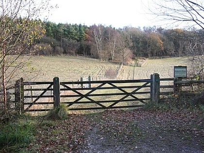 lincolnshire gate