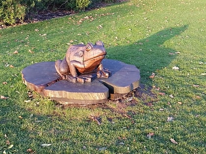 frog bexhill