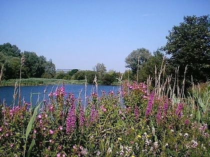 bedfont lakes country park londyn