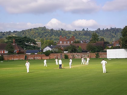 reigate priory cricket club ground