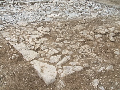 strata florida pontrhydfendigaid