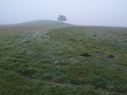 bush barrow stonehenge