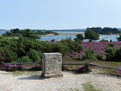 arne rspb reserve