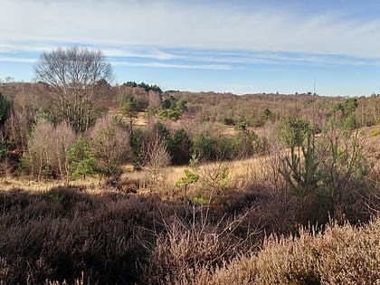 castle bottom nnr