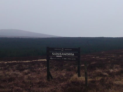 slieveanorra forest