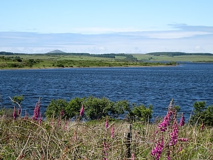 Colliford Lake