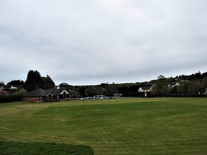 the meadow downpatrick