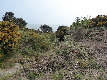 gunton warren and corton woods lowestoft