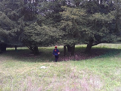 goosehill camp sussex downs aonb