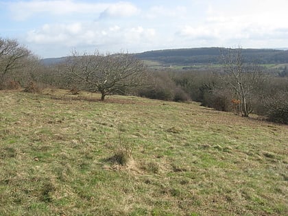 Walton Common banjo enclosure